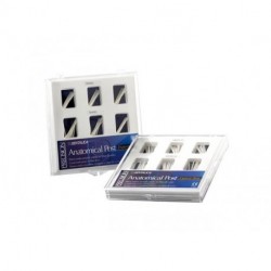Perni endocanalari ANATOMICAL POST  MEDIUM  - BOX 60 pz.